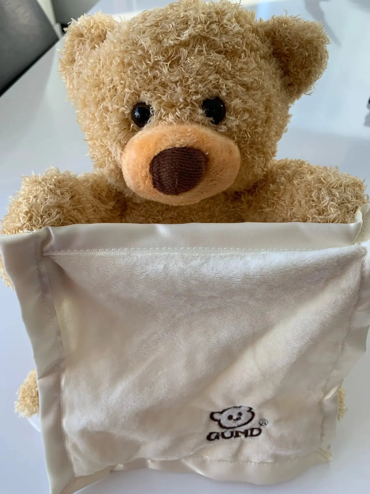 Peek-A-Boo Teddy Bear